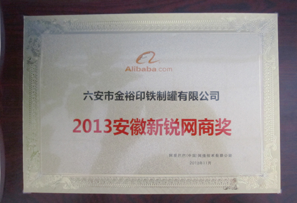 2013年安徽新銳網商獎